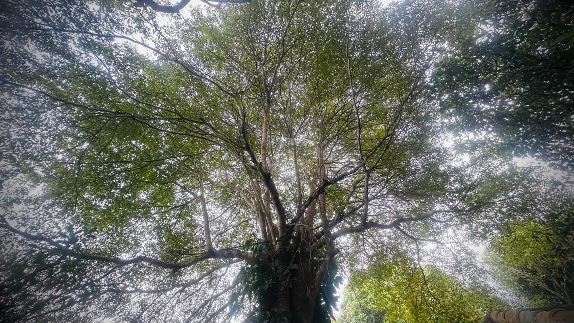 บ้านภทรพรรณ ขุนยวม แม่ฮ่องสอน Ban Pataraphan Khunyuam Maehongson Thailand Ban Khun Yuam Екстер'єр фото